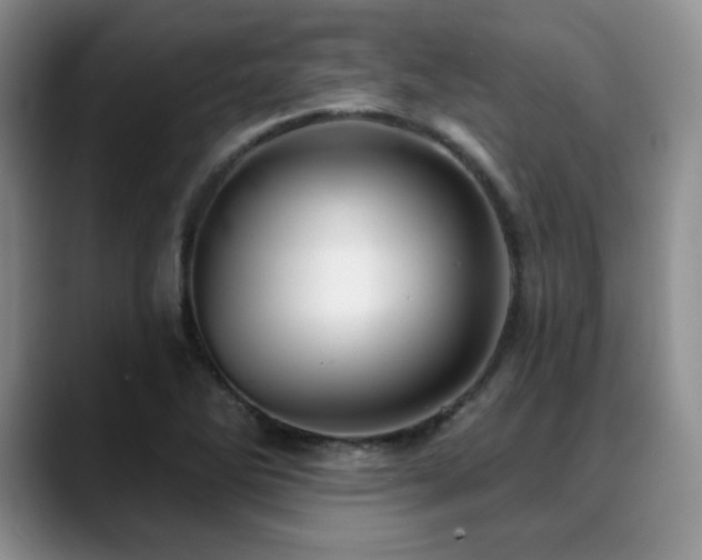 X0000088851270200706081128