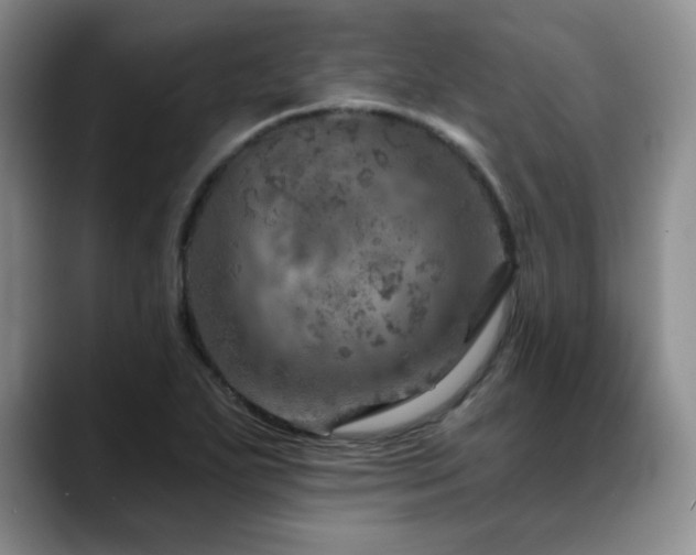 X0000088851271200706081128