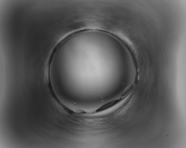 X0000088851272200706081128