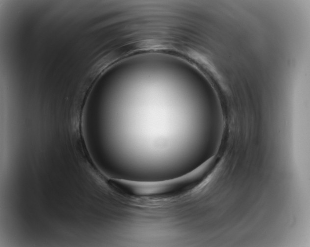 X0000088851273200706081128