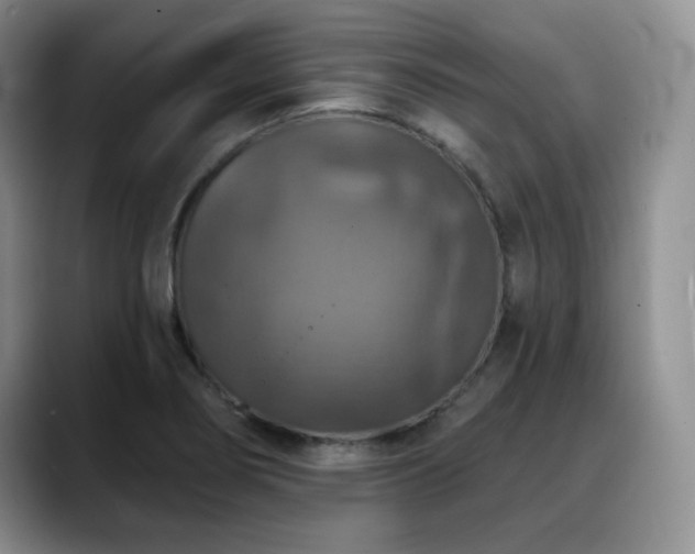 X0000088851274200706081128