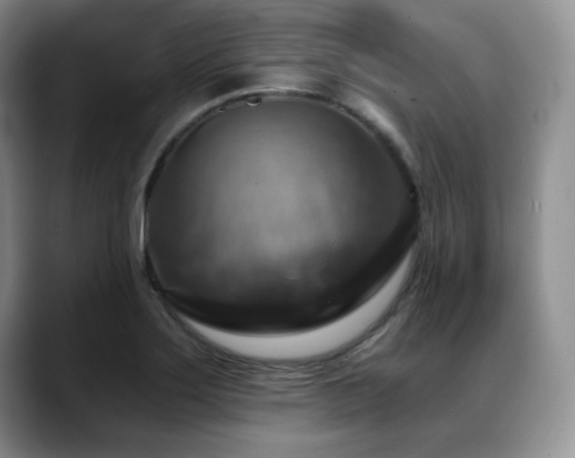 X0000088851275200706081128