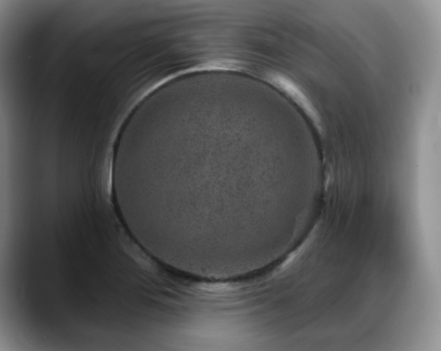 X0000088851276200706081128