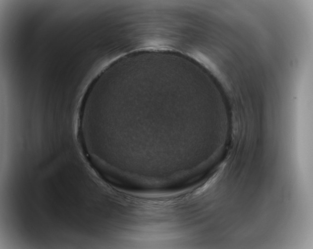 X0000088851277200706081128