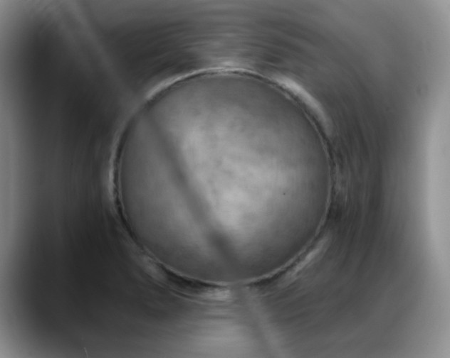X0000088851278200706081128
