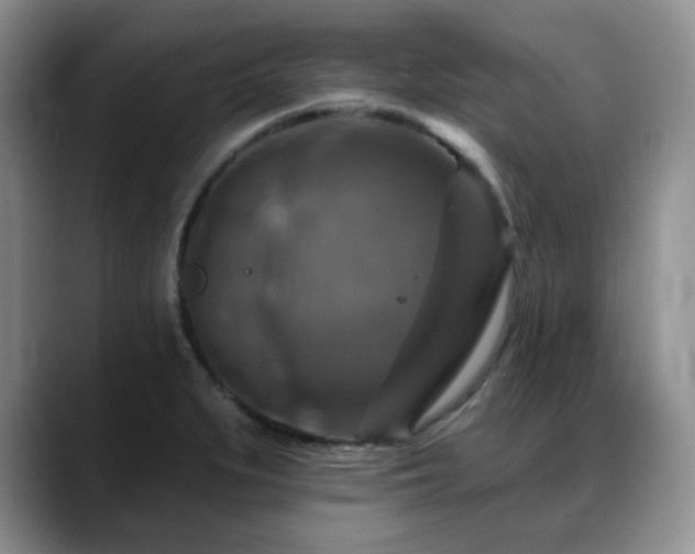 X0000088851279200706081128