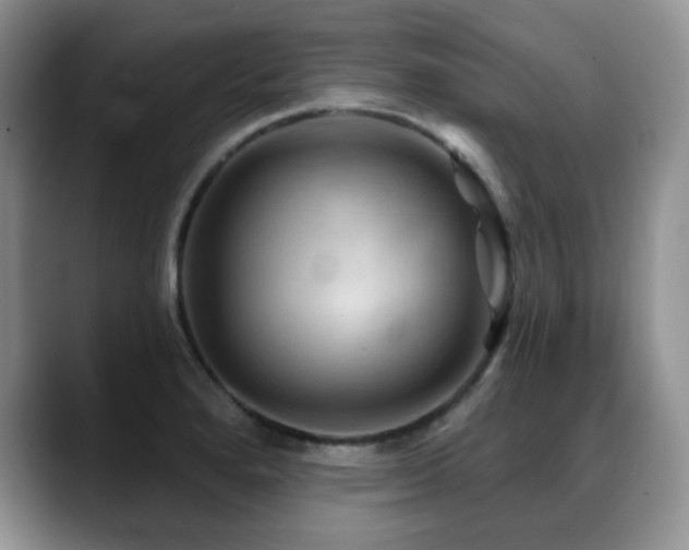 X0000088851280200706081128