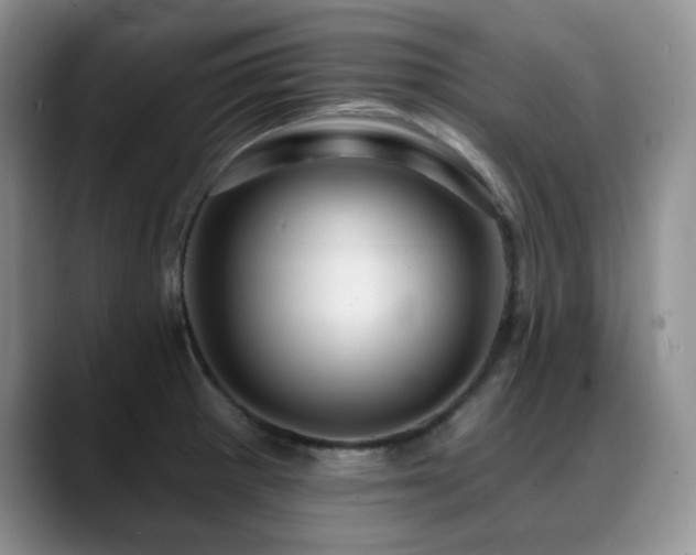X0000088851281200706081128