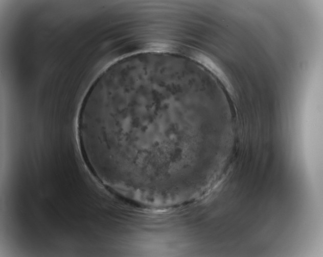 X0000088851283200706081128