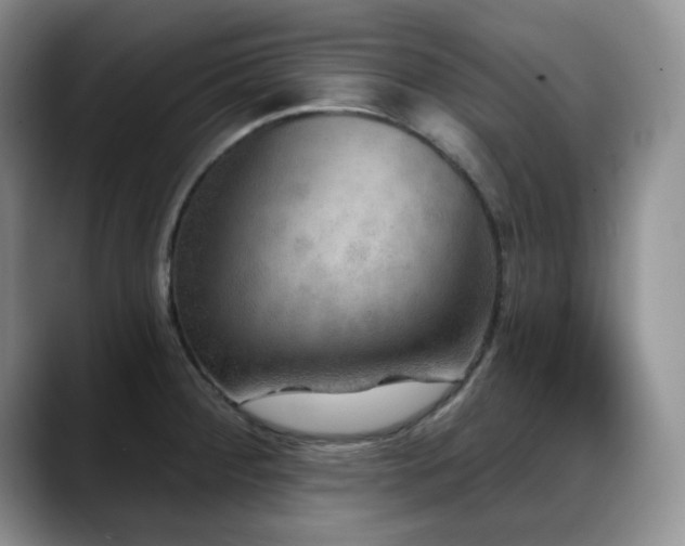 X0000088851284200706081128