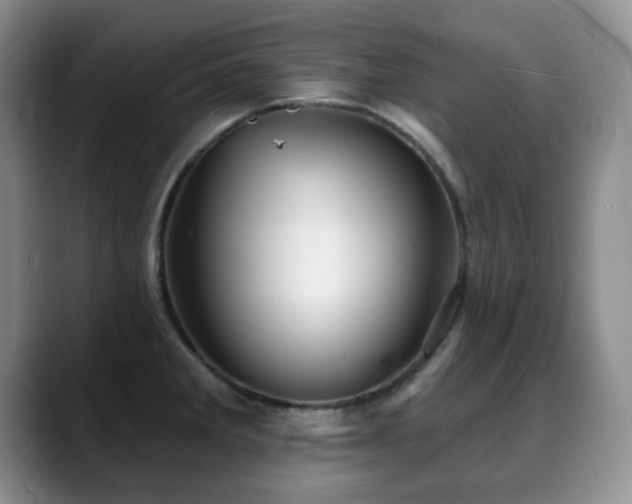 X0000088851285200706081128