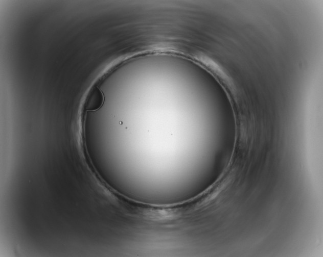 X0000088851286200706081128