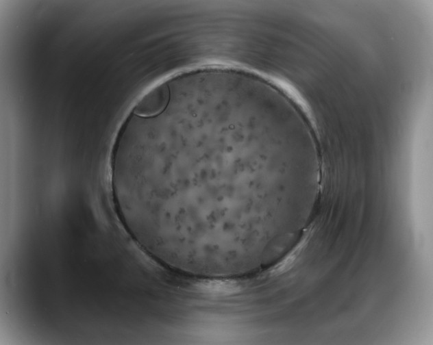 X0000088851287200706081128