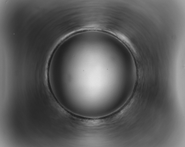 X0000088851288200706081128