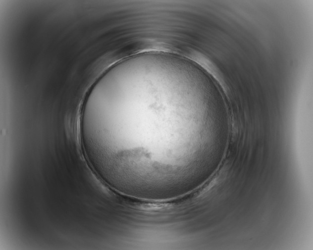 X0000088851290200706081128