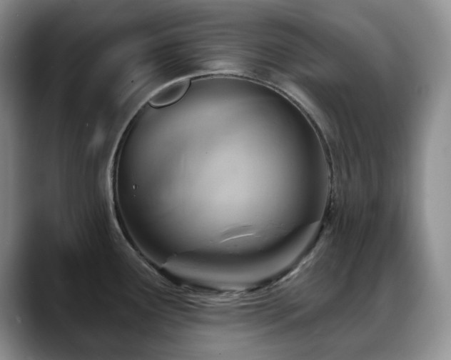 X0000088851291200706081128