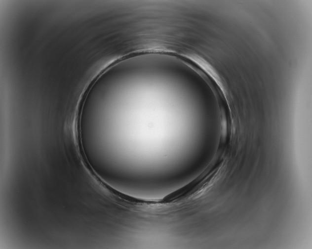 X0000088851293200706081128