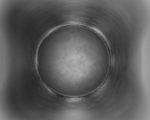 X0000088851294200706081128