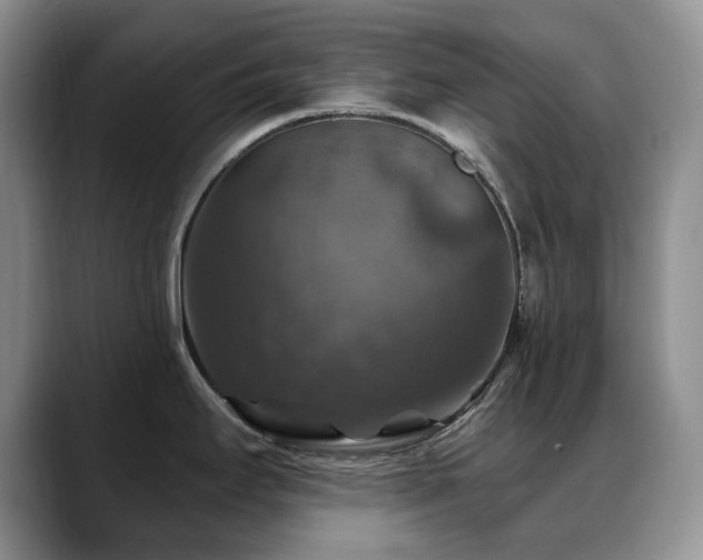 X0000088851295200706081128