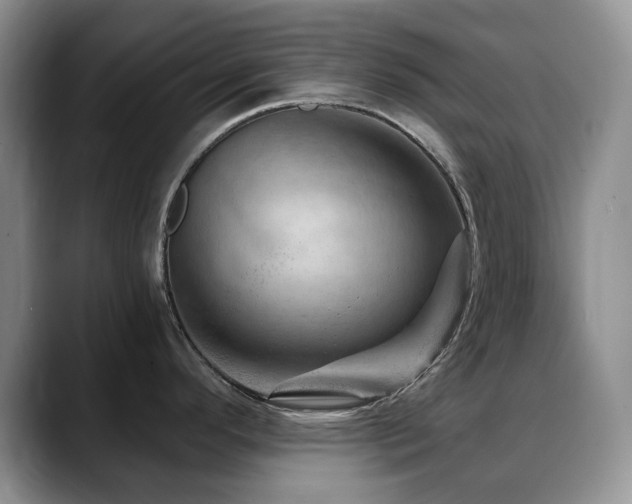 X0000088851296200706081128