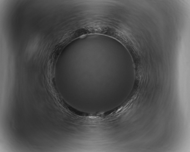 X0000088851297200706081127