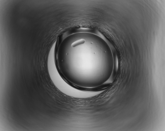 X0000088851298200706081127