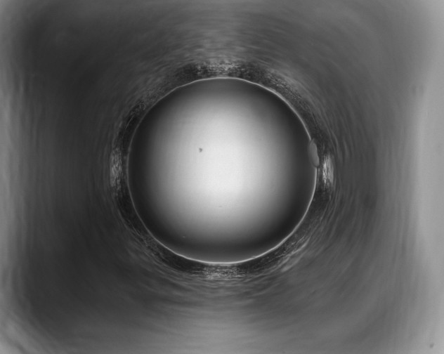 X0000088851299200706081127
