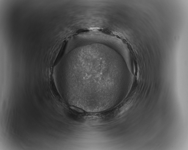 X0000088851300200706081127