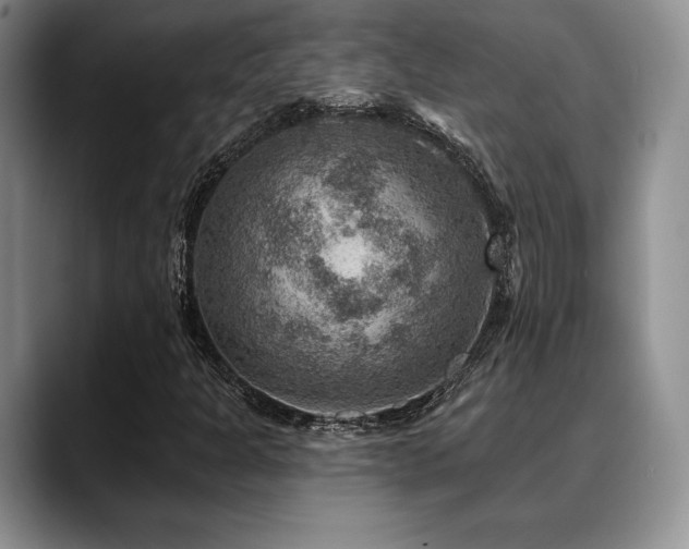 X0000088851301200706081127