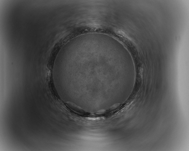X0000088851302200706081127