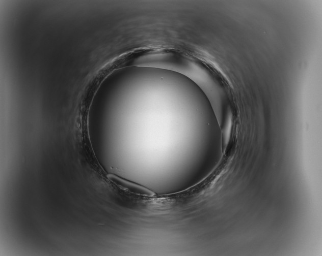 X0000088851304200706081127