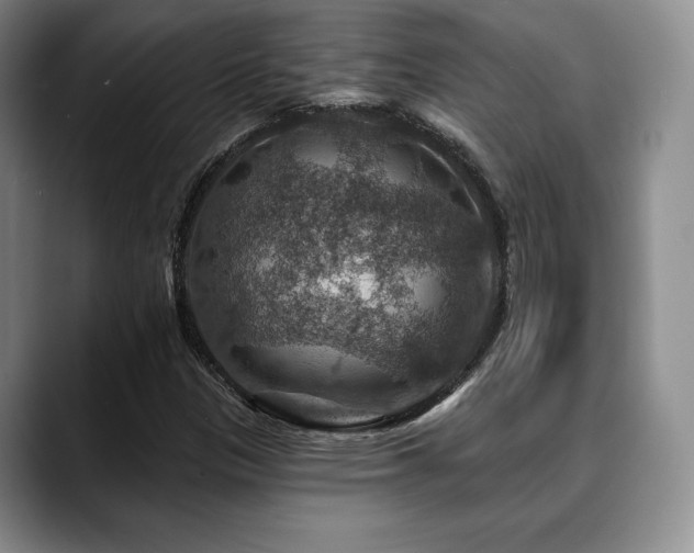 X0000088851305200706081127