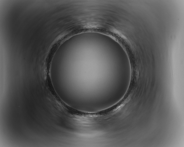X0000088851306200706081127