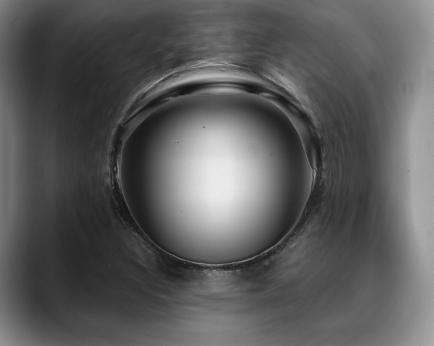 X0000088851308200706081127