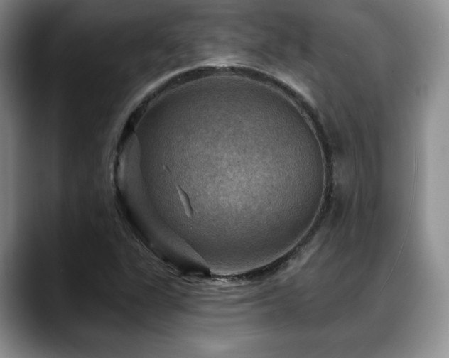 X0000088851311200706081127