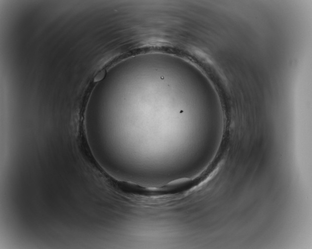 X0000088851313200706081127