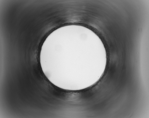 X0000088851314200706081127