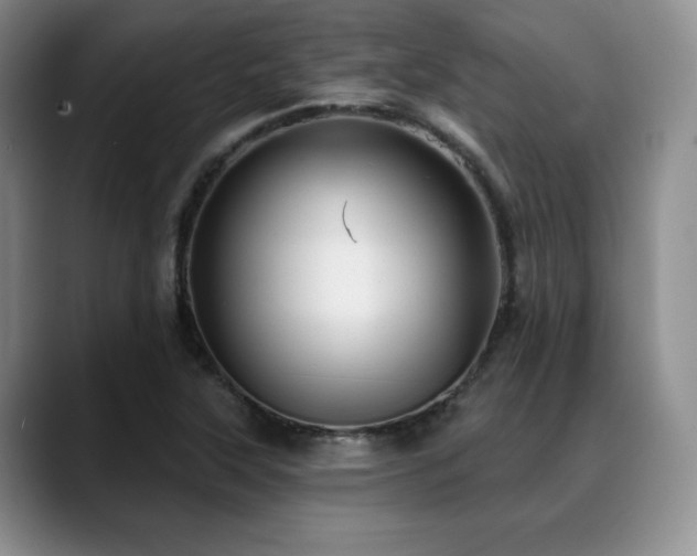 X0000088851315200706081127