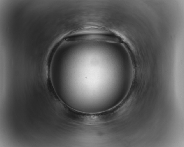 X0000088851317200706081127