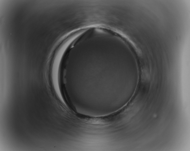X0000088851319200706081127