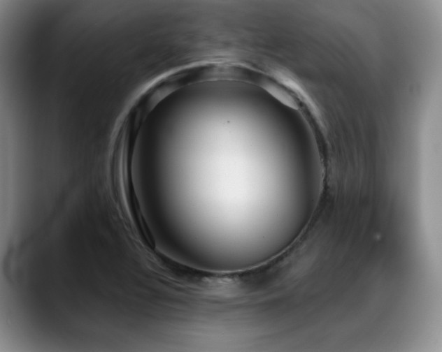 X0000088851320200706081127