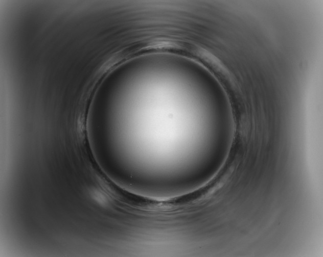 X0000088851321200706081127