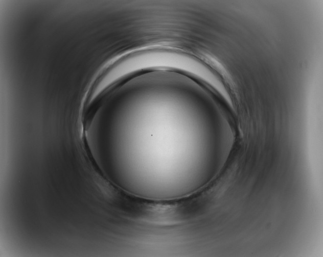 X0000088851324200706081127