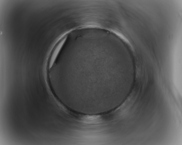 X0000088851325200706081127