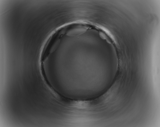 X0000088851327200706081128