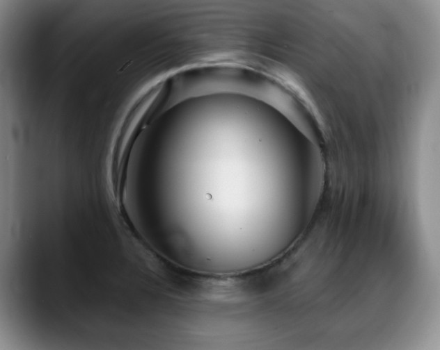 X0000088851328200706081128