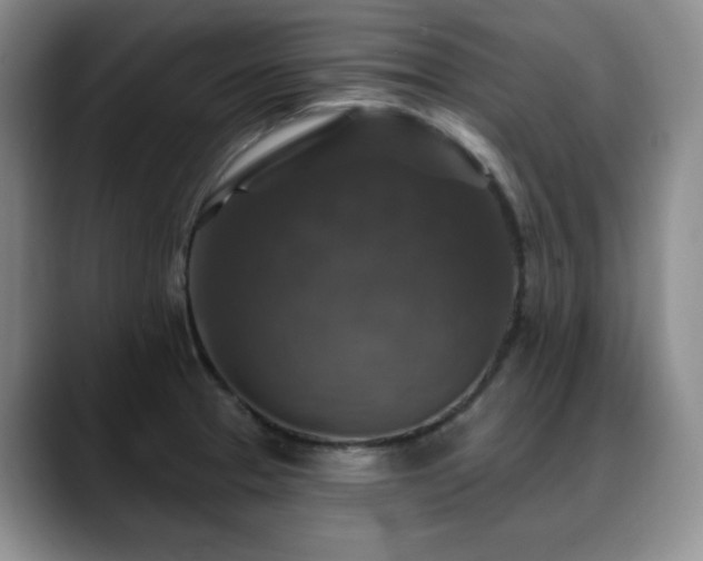 X0000088851329200706081128