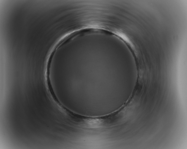 X0000088851331200706081128