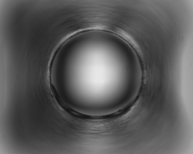 X0000088851332200706081128