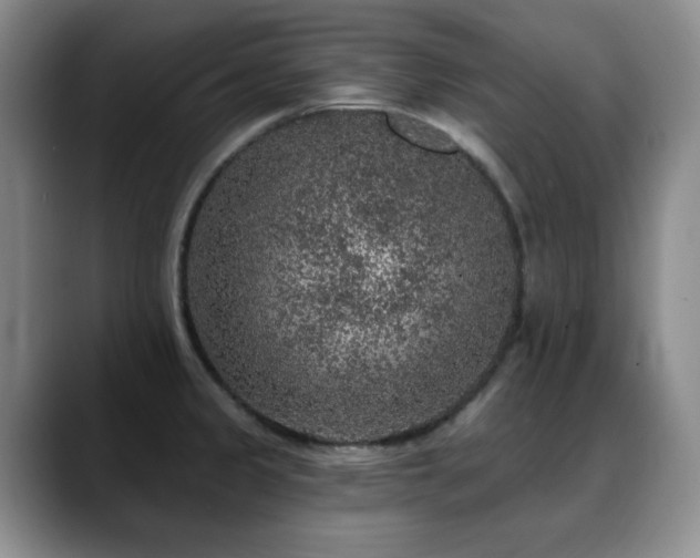 X0000088851333200706081128